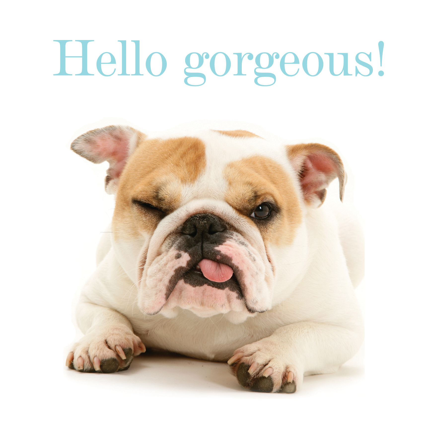 Kort Hello Gorgeous!