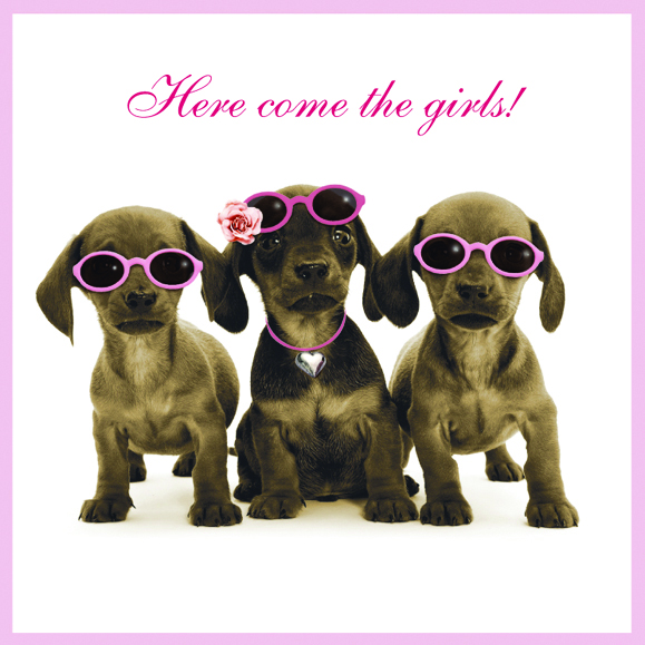 Kort Here Come The Girls!