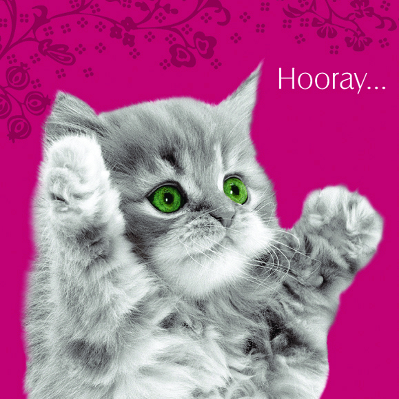 Kort Hooray!
