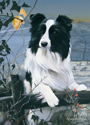 Kort - Pollyanna Pickering