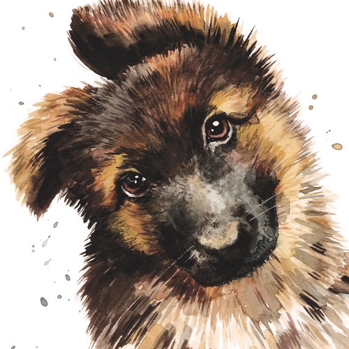 Kort - Puppy Dog Eyes