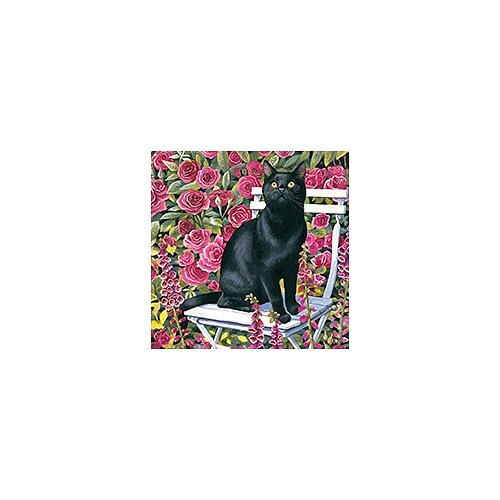 Kort - Cats by Chrissie Snelling