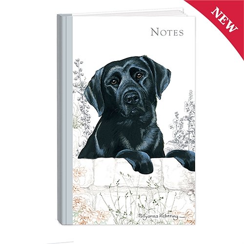 Pollyanna Pickering Stationery