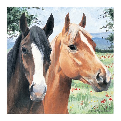 Kort - Hästar