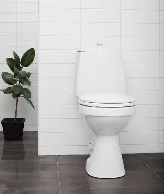 ECOFLUSH The ultralowflush toilet (without Stos) Wastewater Center