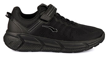 Bagheera Express 36-47