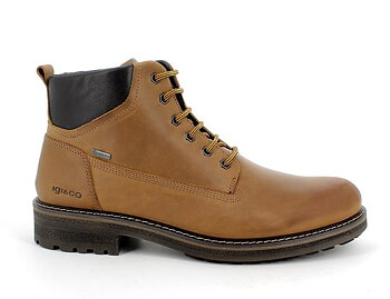 IGI & CO Herrboots Uomo GTX Brun