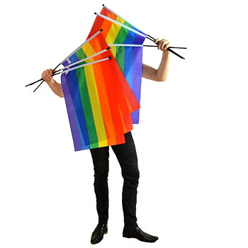 Regenbogenfahne am Stick - Medium 