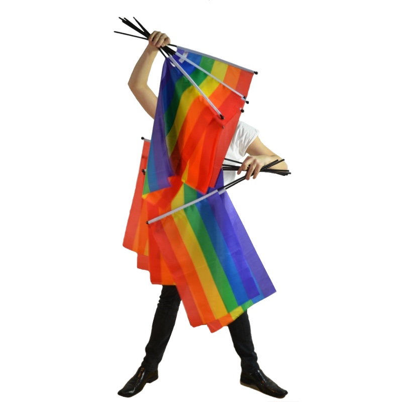 Rainbow flag on a pole medium size - 2