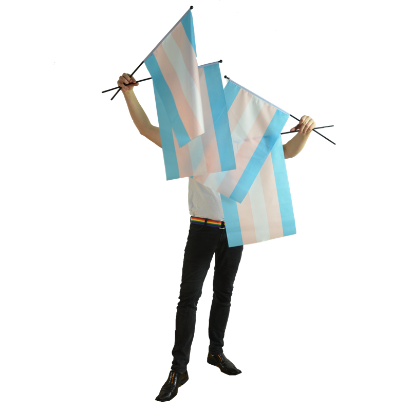 Transgender flag on a stick medium size  - 2