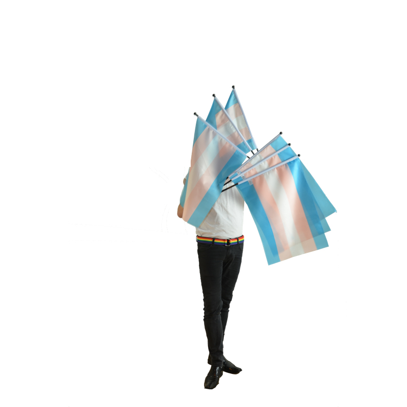 Transgender flag on a stick medium size  - 3