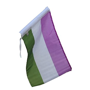 Gender queer-fasadflagga ersättningsflagga 40 x 60 cm