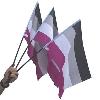 Asexuelle Flagge auf einem Stock - Mittel 