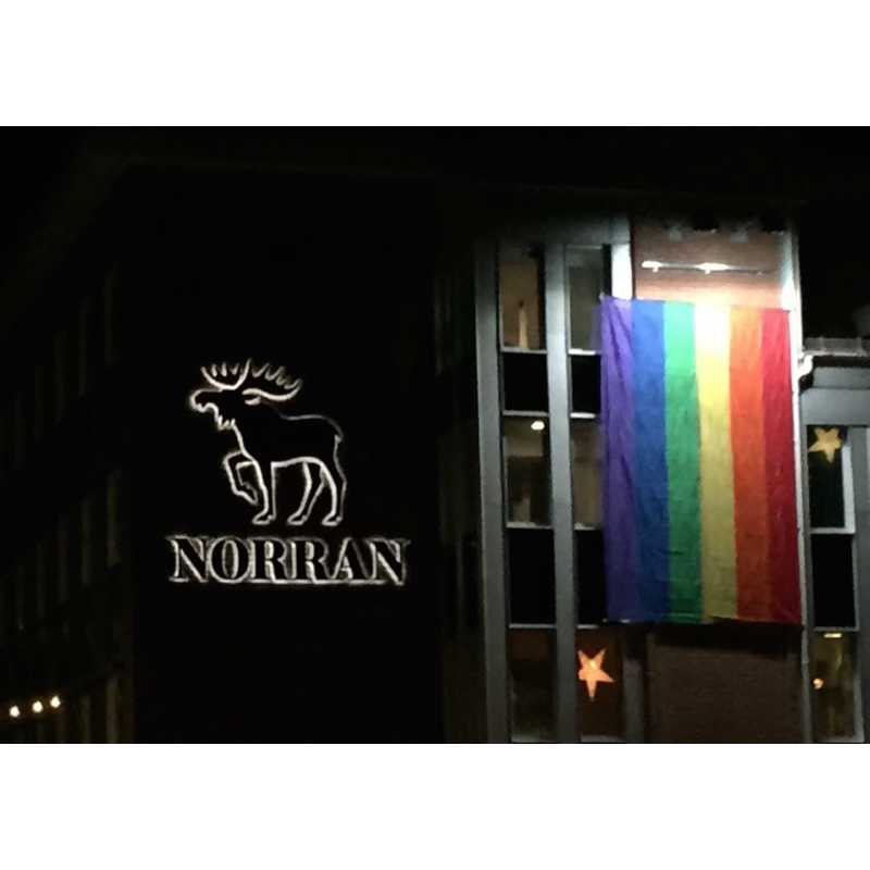 Pride Flag für Fahnenmast 3 x 4,5m - 8
