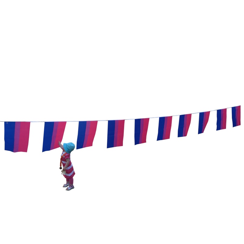 Bisexuel flag bunting - Between size (7m) - 2