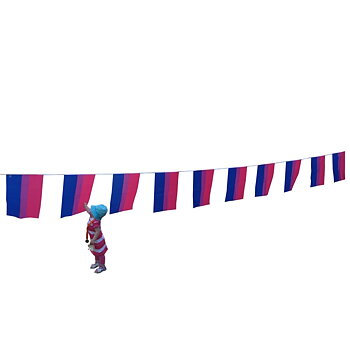 Bisexuelles Flaggenspiel - Mittelstufe (7m)