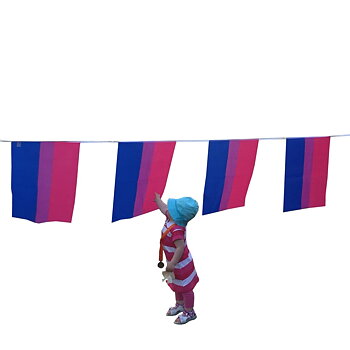 Bisexuelles Flaggenspiel - Mittelstufe (7m)