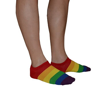 Pride Socken niedrig