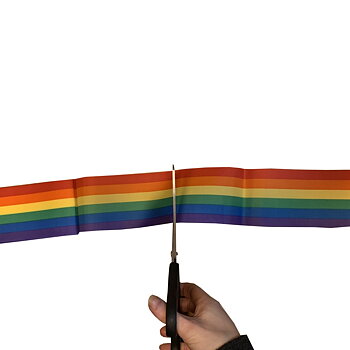 Inauguration pride ribbons 8cm x 8m