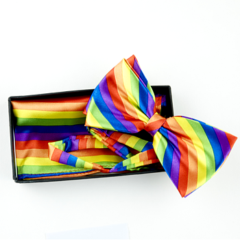 Pride Fliege und Taschentuch