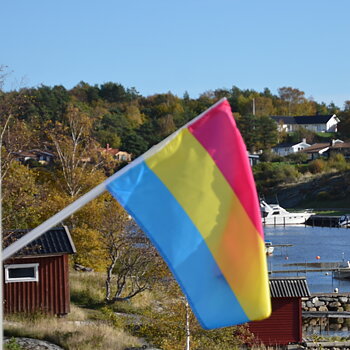 Pan-fasadflagga 40 x 60 cm med plaststång ca 75 cm 
