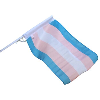 Trans-fasadflagga 40 x 60 cm med plaststång ca 75 cm 