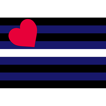 Flagstaff-Flagge aus Leder 90 x 150 cm