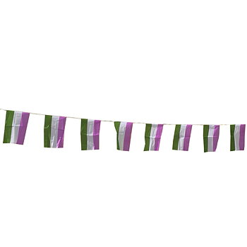 Genderqueer Flagg festoons - Zwischen (7m)
