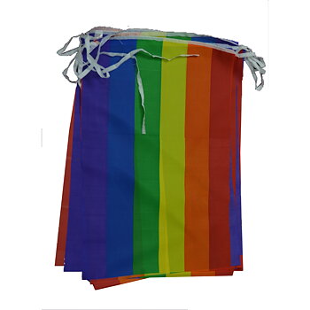Pride Flaggspel - Micro (4m)