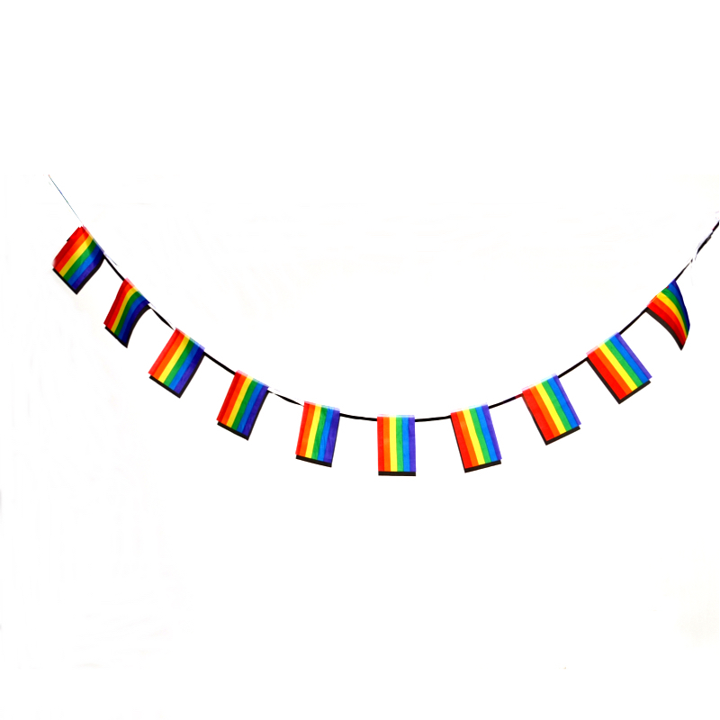 Pride flag bunting - Micro (4m) - 2
