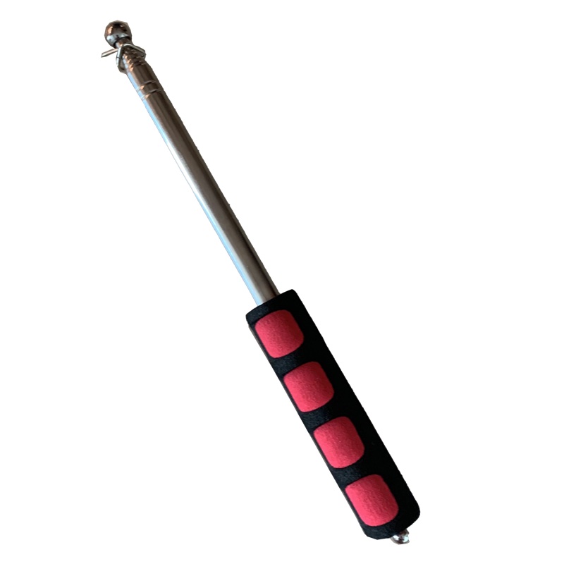 XL bisexuelle Handfahne ohne Stock - 2