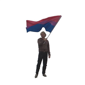 XL hand bisexual flag without pole