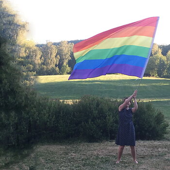 Mega hand rainbow flag with telescopic stick