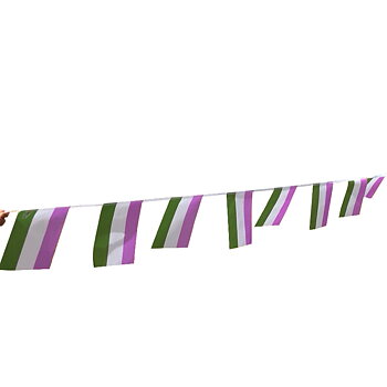 Gender Flagge Spiel - Mini (6,6m)