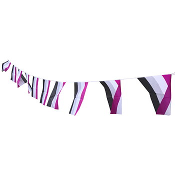 Asexuelles Flaggenspiel - Mittelstufe (7m)