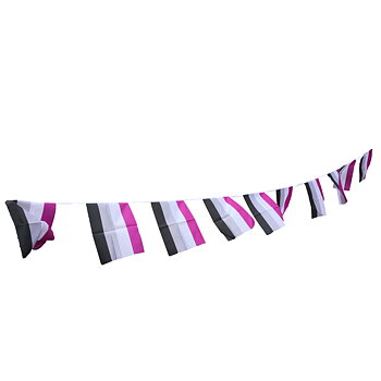 Asexuelles Flaggenspiel - Mittelstufe (7m)