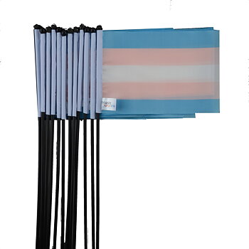 Transgender-Flagge auf einem Stick Mini 