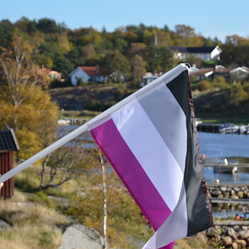 Asex-fasadflagga 40 x 60 cm med plaststång ca 75 cm 