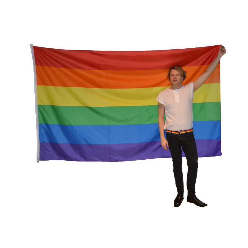 Pride-Flagge für Fahnenmast 150 x 250 cm - 3