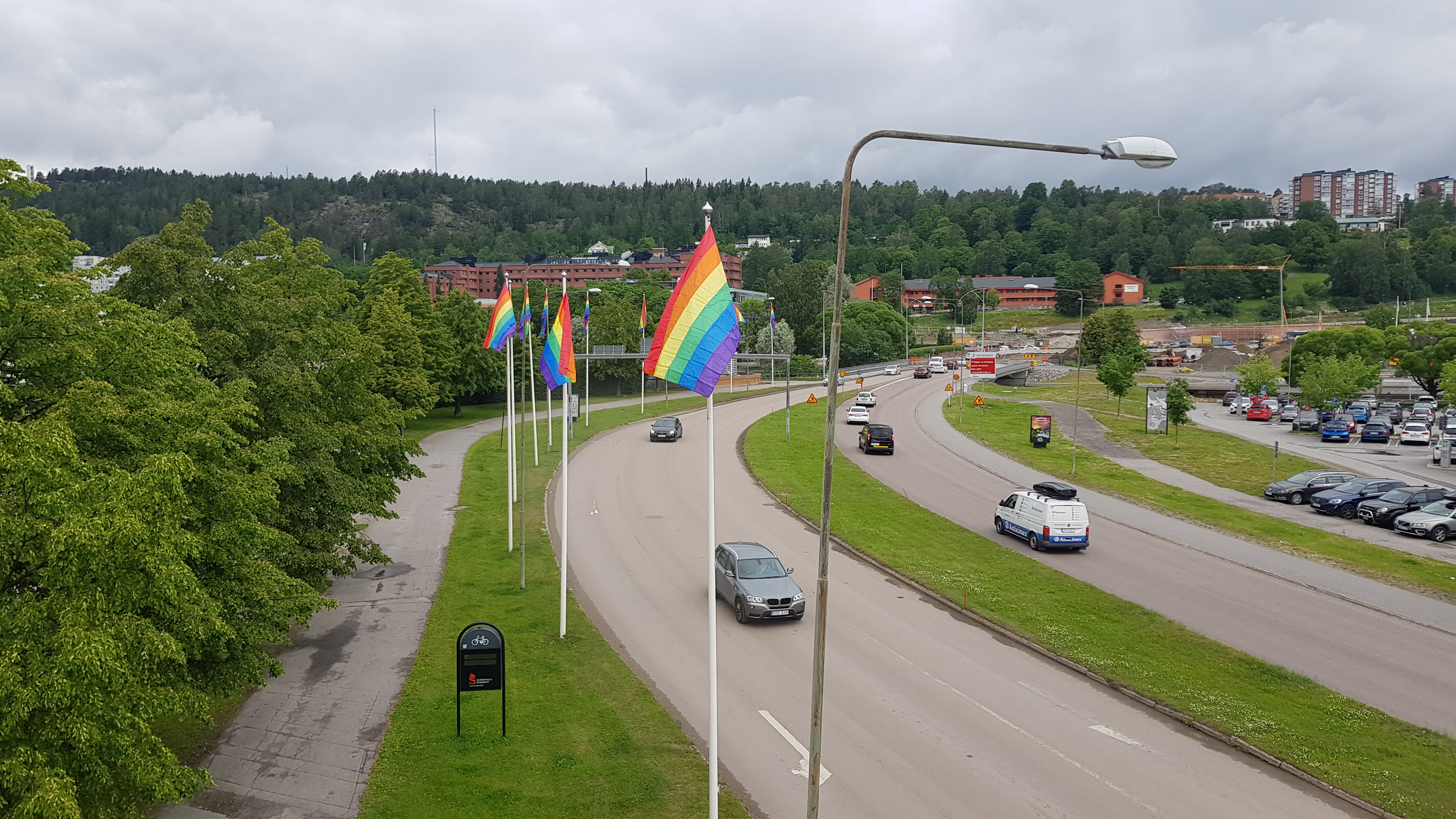Pride-Flagge für Fahnenmast 150 x 250 cm - 2