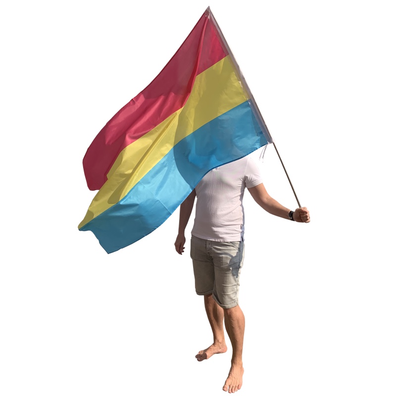 Pansexual Flag Delux 90 x 150cm - 2