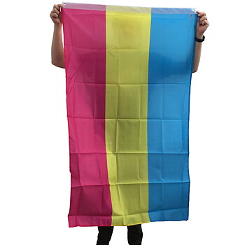 Pansexual Flag Delux 90 x 150cm
