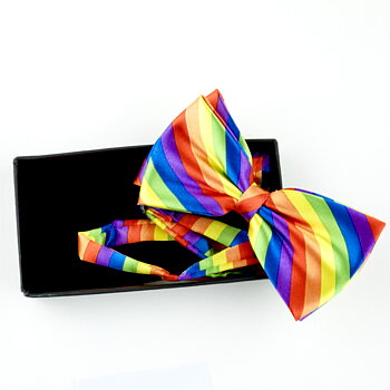 Regenbogen Fliege