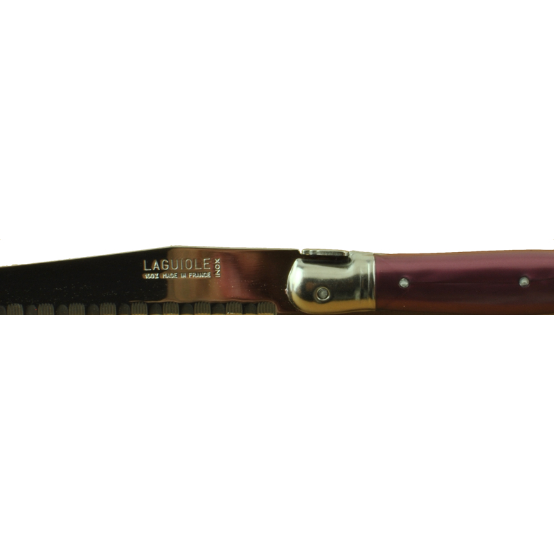 Pride farbige  Fleischmesser  - 6