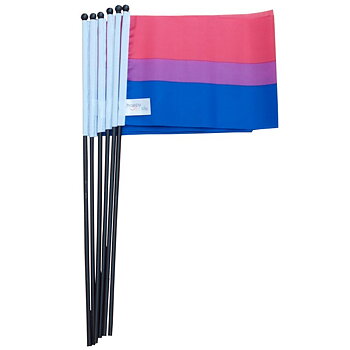 Bi Visibility Day - each year september 23rd