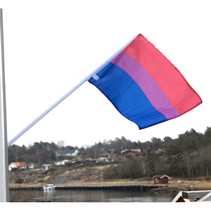 Bi Visibility Day - each year september 23rd - 3
