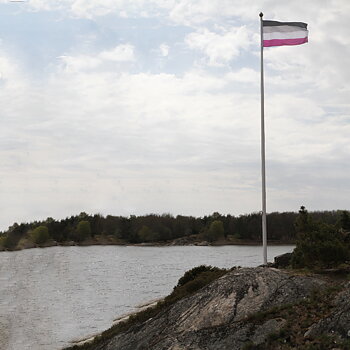 Asexuelle Flagge XL Fahnenmast-Flagge