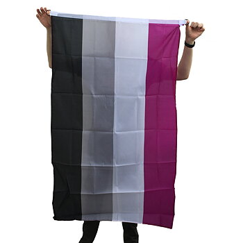 Asexuelle Flagge XL Fahnenmast-Flagge