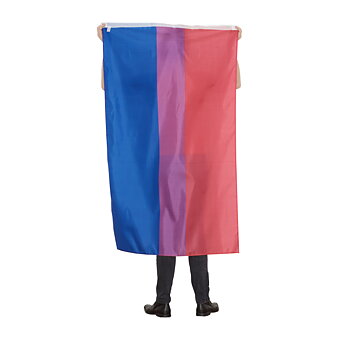 Bisexuel Flag  XL Party