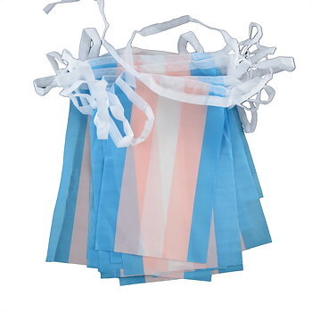 Transgender-Flaggenspiel - Mini (6,6 m)